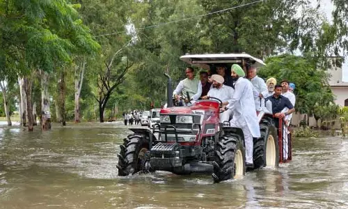 केंद्रीय कृषि मंत्री ने Punjab के तबाह खेतों का दौरा किया, केंद्र से मदद का वादा किया