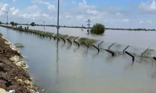 बाढ़ के पानी ने रेडक्लिफ लाइन और Ferozepur में सीमा बाड़ को लील लिया