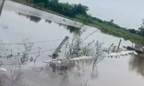 Haryana : कैथल जिले में घग्गर नदी खतरे के निशान को पार कर गई, खेत जलमग्न Haryana : कैथल जिले में घग्गर नदी खतरे के निशान को पार कर गई, खेत जलमग्न