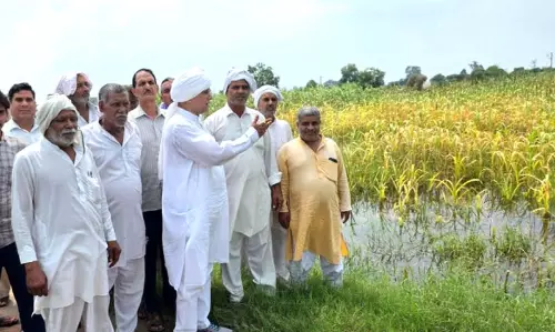 Rohtak के किसान जलभराव से परेशान Rohtak के किसान जलभराव से परेशान