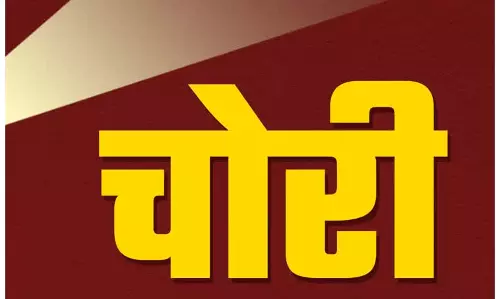 बहन के घर से 24.42 लाख रुपये के जेवर-नकदी चुराने के आरोप में महिला गिरफ्तार, पुलिस भी हैरान