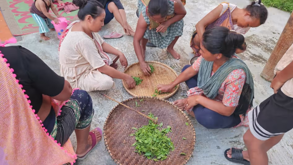 Kaziranga-कार्बी आंगलोंग क्षेत्र के चाय उत्पादकों को हस्तनिर्मित चाय प्रसंस्करण का प्रशिक्षण दिया गया Kaziranga-कार्बी आंगलोंग क्षेत्र के चाय उत्पादकों को हस्तनिर्मित चाय प्रसंस्करण का प्रशिक्षण दिया गया