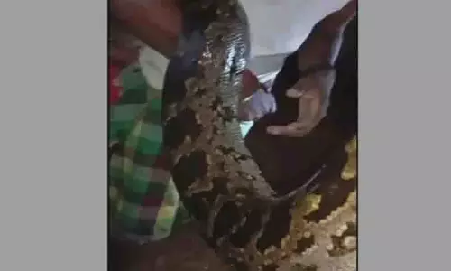 Odisha: ग्रामीणों द्वारा बिछाए गए मछली पकड़ने के जाल में अजगर पकड़ा गया