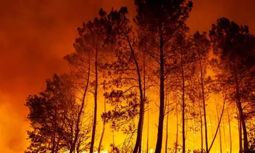 जंगली आग से बढ़ रहा वैश्विक वायु प्रदूषण, WMO ने स्वास्थ्य जोखिम की चेतावनी दी
