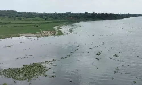 Auraiya: यमुना का जलस्तर तीसरी बार बढ़ा, यातायात प्रभावित Auraiya: यमुना का जलस्तर तीसरी बार बढ़ा, यातायात प्रभावित
