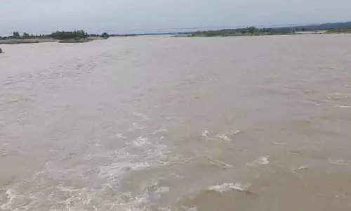 Pong dam का जलस्तर इस साल के उच्चतम स्तर पर पहुंचा