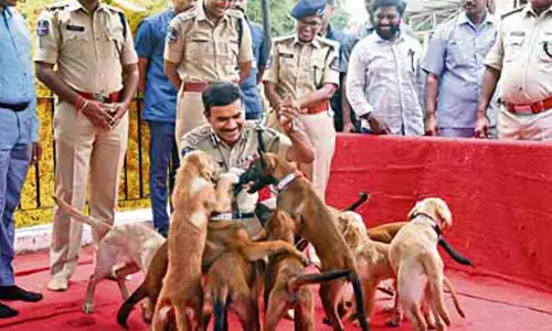 Hyderabad police ने पहली बार महिलाओं को घुड़सवार इकाई में शामिल किया