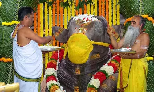 श्रीशैलम मंदिर में नंदीश्वर स्वामी की विशेष प्रार्थना श्रीशैलम मंदिर में नंदीश्वर स्वामी की विशेष प्रार्थना