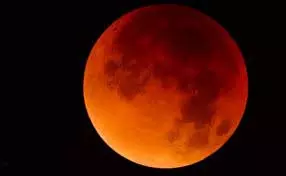 Chandra Grahan 2025: रविवार को लग रहा है चंद्र ग्रहण, एक दिन पहले निपटा लें तुलसी से जुड़े ये काम Chandra Grahan 2025: रविवार को लग रहा है चंद्र ग्रहण, एक दिन पहले निपटा लें तुलसी से जुड़े ये काम