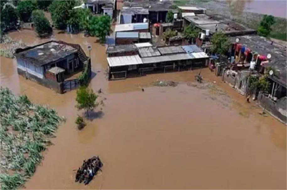 Punjab: इस जिले में बाढ़ से भयंकर तबाही, अब तक 6,185 घर जलमग्न Punjab: इस जिले में बाढ़ से भयंकर तबाही, अब तक 6,185 घर जलमग्न