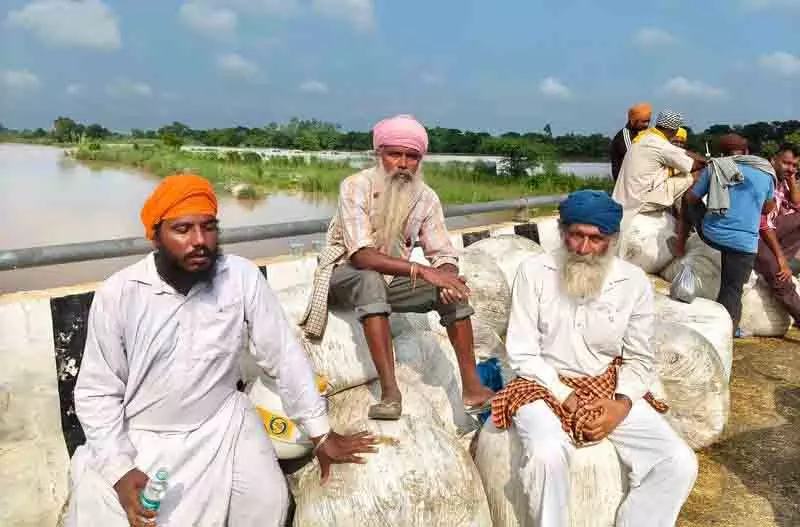 Jalandhar: पानी कम होने के इंतजार में विस्थापित लोग बांध पर दिन गुजार रहे Jalandhar: पानी कम होने के इंतजार में विस्थापित लोग बांध पर दिन गुजार रहे