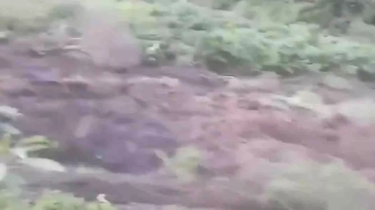 Himachal: सिरमौर के नौहराधार में भारी भूस्खलन, पहाड़ी का हिस्सा ढहा Himachal: सिरमौर के नौहराधार में भारी भूस्खलन, पहाड़ी का हिस्सा ढहा