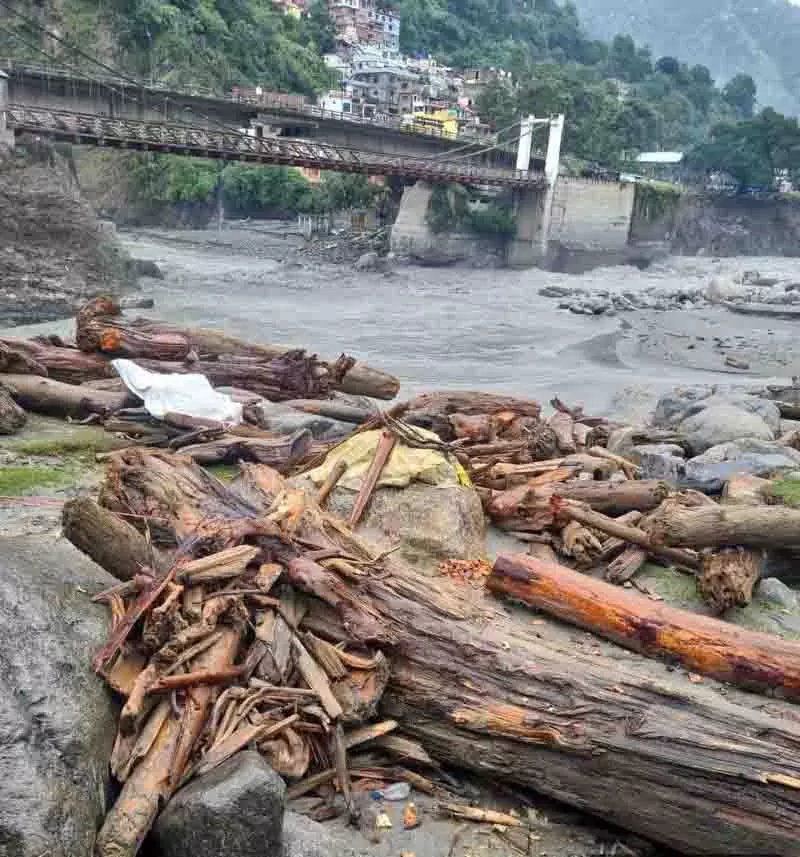 Chamba में पेड़ उखाड़े गए, अवैध कटाई नहीं, वन विभाग का स्पष्टीकरण Chamba में पेड़ उखाड़े गए, अवैध कटाई नहीं, वन विभाग का स्पष्टीकरण