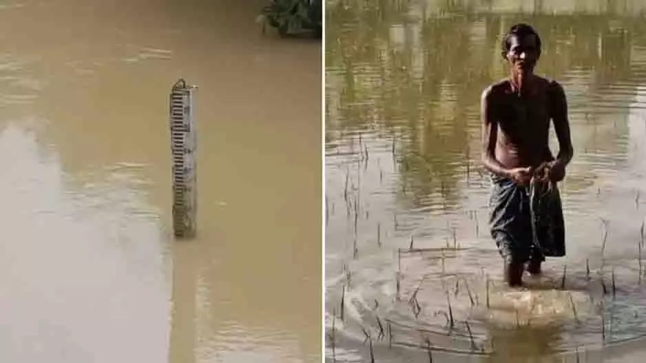 Odisha: बालासोर के किसान बाढ़ और फसल नुकसान से चिंतित Odisha: बालासोर के किसान बाढ़ और फसल नुकसान से चिंतित