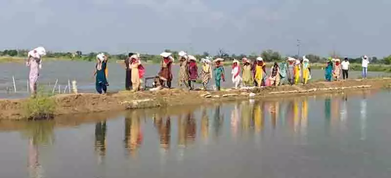 Haryana: राज्य में बाढ़, बारिश से संबंधित हादसों में 11 लोगों की मौत, 44 लाख रुपये की राहत जारी Haryana: राज्य में बाढ़, बारिश से संबंधित हादसों में 11 लोगों की मौत, 44 लाख रुपये की राहत जारी