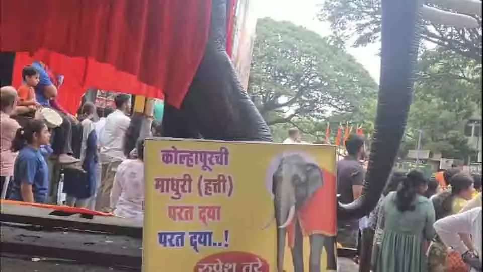 Pune: गणपति विसर्जन के दौरान हथिनी माधुरी को कोल्हापुर वापस लाने का आह्वान Pune: गणपति विसर्जन के दौरान हथिनी माधुरी को कोल्हापुर वापस लाने का आह्वान