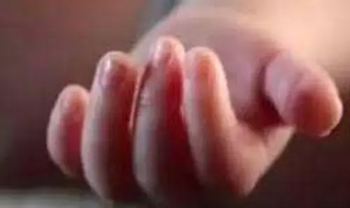 Up News: बंदर ने ले ली 3 महीने के मासूम की जान Up News: बंदर ने ले ली 3 महीने के मासूम की जान