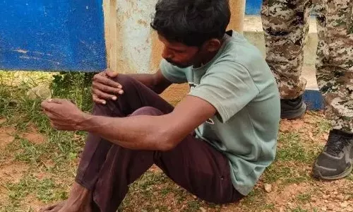 मां ने बनाई थी मच्छली, करी को लेकर बेटे ने कर दी हत्या