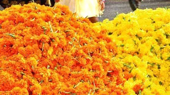 kerala: फूल की दुकान विवाद में अनीस कुमार घायल, पुलिस ने आरोपी को दबोचा kerala: फूल की दुकान विवाद में अनीस कुमार घायल, पुलिस ने आरोपी को दबोचा