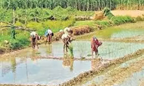 Bhopal: किसान लाभार्थियों की सूची में बड़े बदलाव की संभावना