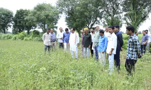 Jaipur: पशुपालन मंत्री बोले – अतिवृष्टि से क्षतिग्रस्त फसलों का तुरंत मूल्यांकन जरूरी
