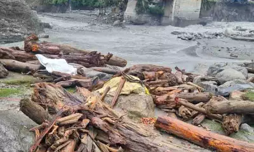 Chamba में पेड़ उखाड़े गए, अवैध कटाई नहीं, वन विभाग का स्पष्टीकरण