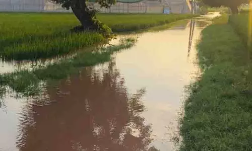 Kaithal में घग्गर नदी खतरे के निशान के पार, किसानों को भारी फसल नुकसान की आशंका