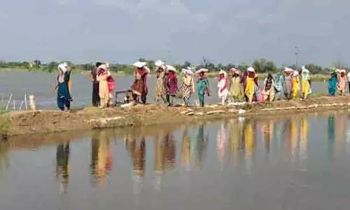 Haryana: राज्य में बाढ़, बारिश से संबंधित हादसों में 11 लोगों की मौत, 44 लाख रुपये की राहत जारी