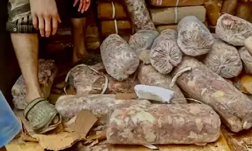 Samba: भारी मात्रा में ड्रग्स नष्ट, पुलिस का सुरक्षा अभियान जारी