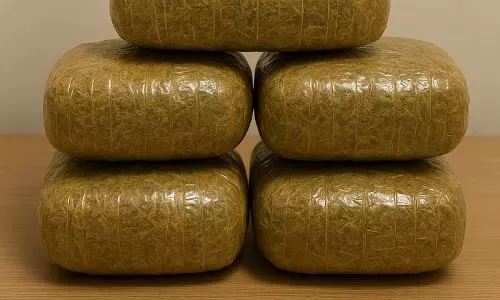 अभनपुर पुलिस की बड़ी कार्रवाई, 55 वर्षीय महिला के पास से 420 ग्राम गांजा बरामद अभनपुर पुलिस की बड़ी कार्रवाई, 55 वर्षीय महिला के पास से 420 ग्राम गांजा बरामद
