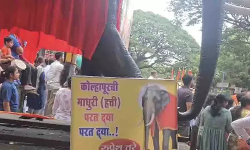 Pune: गणपति विसर्जन के दौरान हथिनी माधुरी को कोल्हापुर वापस लाने का आह्वान Pune: गणपति विसर्जन के दौरान हथिनी माधुरी को कोल्हापुर वापस लाने का आह्वान