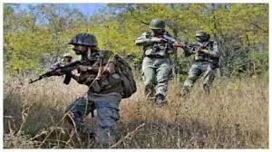Jharkhand: नक्सलियों और सुरक्षा बलों के बीच मुठभेड़, 10 लाख का इनामी नक्सली ढेर Jharkhand: नक्सलियों और सुरक्षा बलों के बीच मुठभेड़, 10 लाख का इनामी नक्सली ढेर