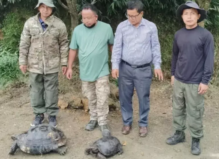 Manipur: तामेंगलोंग जिले में ग्रामीणों ने दो लुप्तप्राय कछुओं को बचाया Manipur: तामेंगलोंग जिले में ग्रामीणों ने दो लुप्तप्राय कछुओं को बचाया