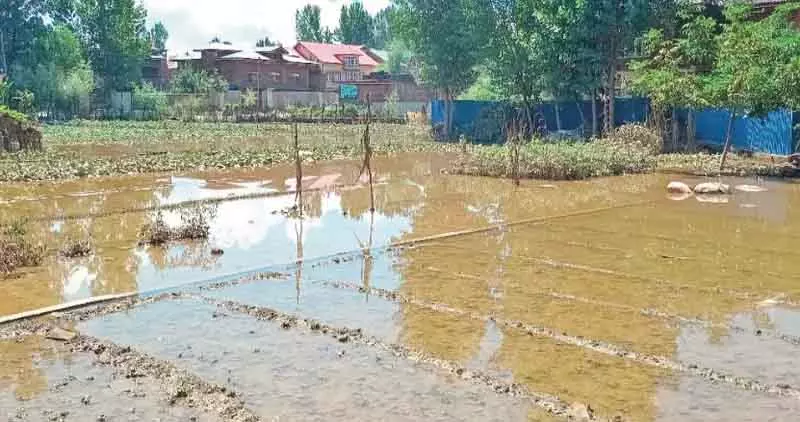 कश्मीर के सब्जी गांव जलमग्न; किसान बर्बादी के कगार पर कश्मीर के सब्जी गांव जलमग्न; किसान बर्बादी के कगार पर