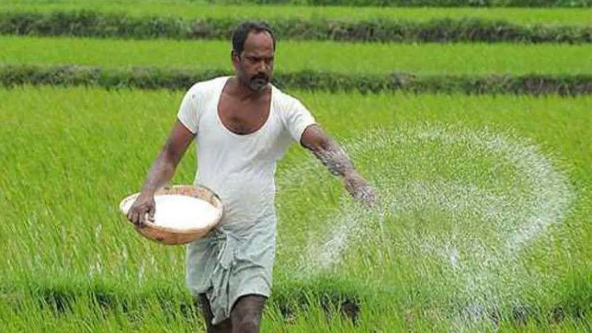 Nalagarh: मानसून की तबाही से खेतों में डूबी मेहनत, किसान परेशान Nalagarh: मानसून की तबाही से खेतों में डूबी मेहनत, किसान परेशान