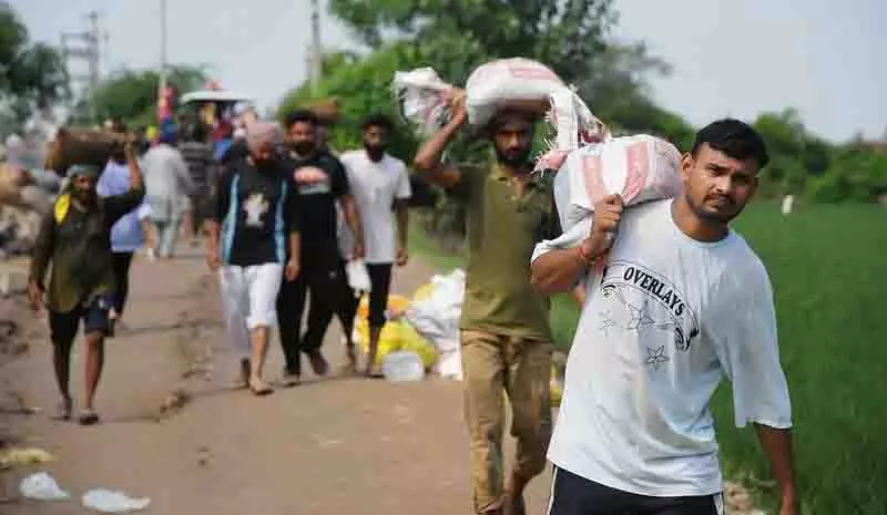 Ludhiana के ग्रामीण सतलुज नदी पर बांध को मजबूत करने के लिए समय के खिलाफ दौड़ रहे Ludhiana के ग्रामीण सतलुज नदी पर बांध को मजबूत करने के लिए समय के खिलाफ दौड़ रहे