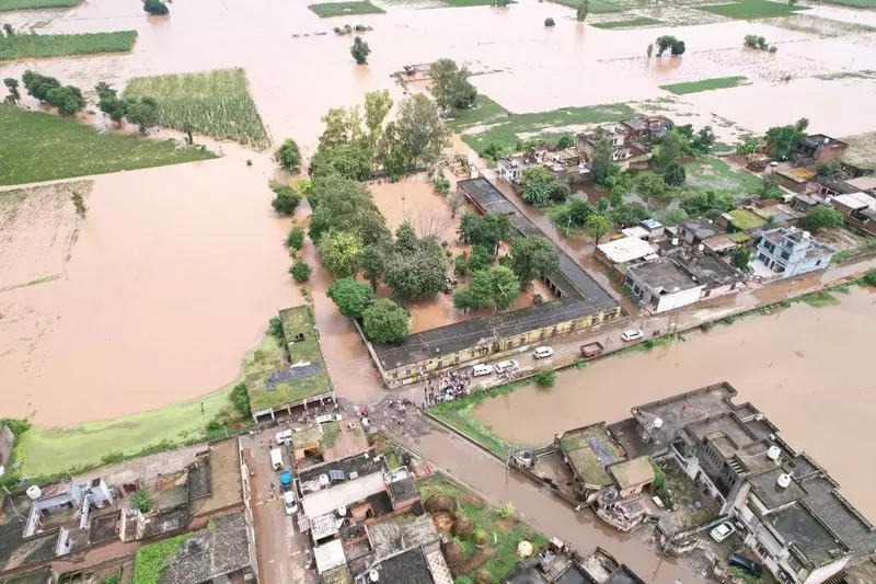 Kurukshetra के 2,600 से अधिक किसानों ने फसल क्षति के लिए दावा दायर किया Kurukshetra के 2,600 से अधिक किसानों ने फसल क्षति के लिए दावा दायर किया