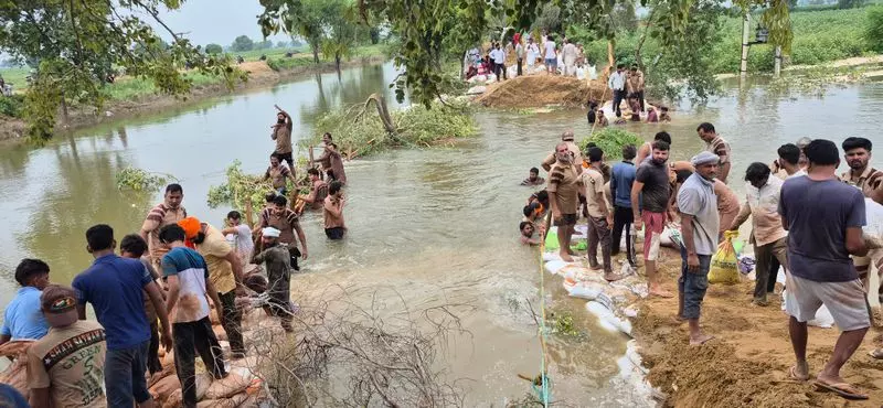 घग्गर नदी उफान पर, Sirsa जिले के कई गांवों में बाढ़ का खतरा घग्गर नदी उफान पर, Sirsa जिले के कई गांवों में बाढ़ का खतरा