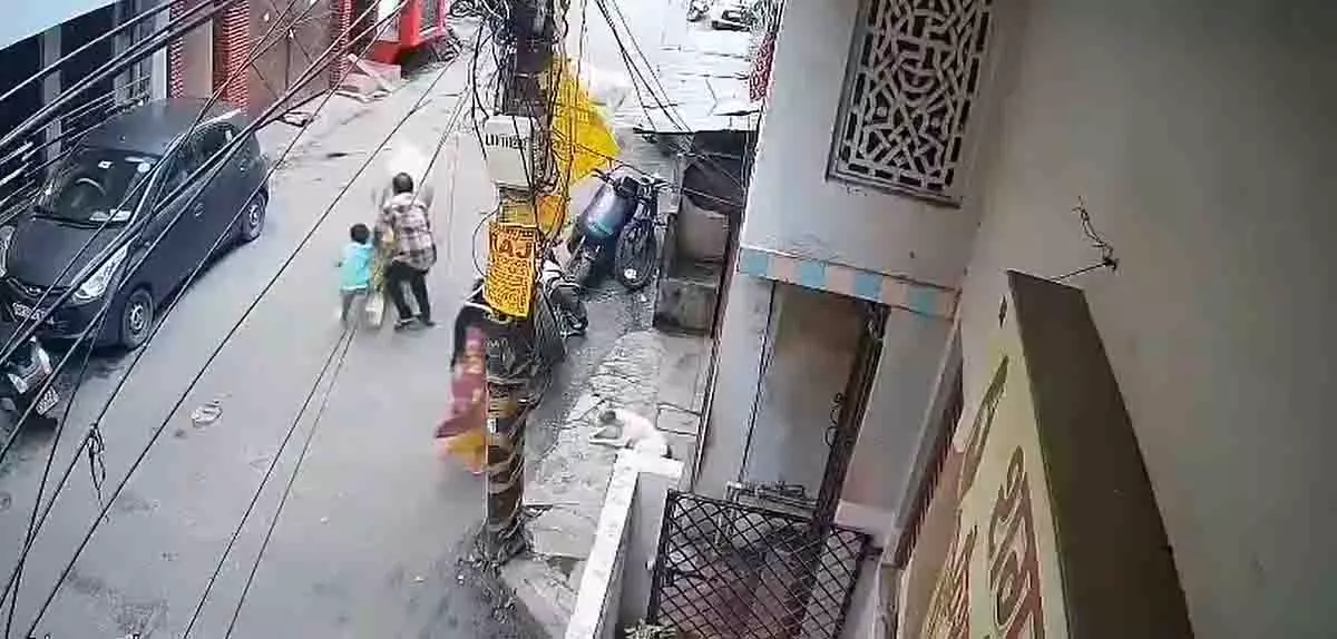 Lucknow: पोते के साथ जा रहे बुजुर्ग पर आवारा सांडों का हमला Lucknow: पोते के साथ जा रहे बुजुर्ग पर आवारा सांडों का हमला