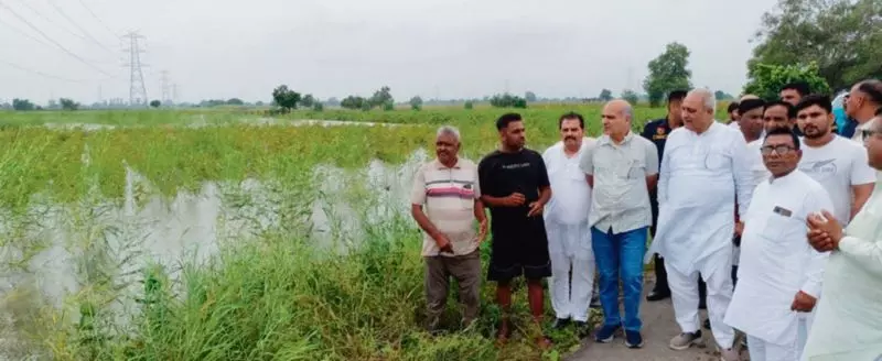 Haryana : मंत्री ने जलभराव से प्रभावित हिसार के गांवों का दौरा किया Haryana : मंत्री ने जलभराव से प्रभावित हिसार के गांवों का दौरा किया