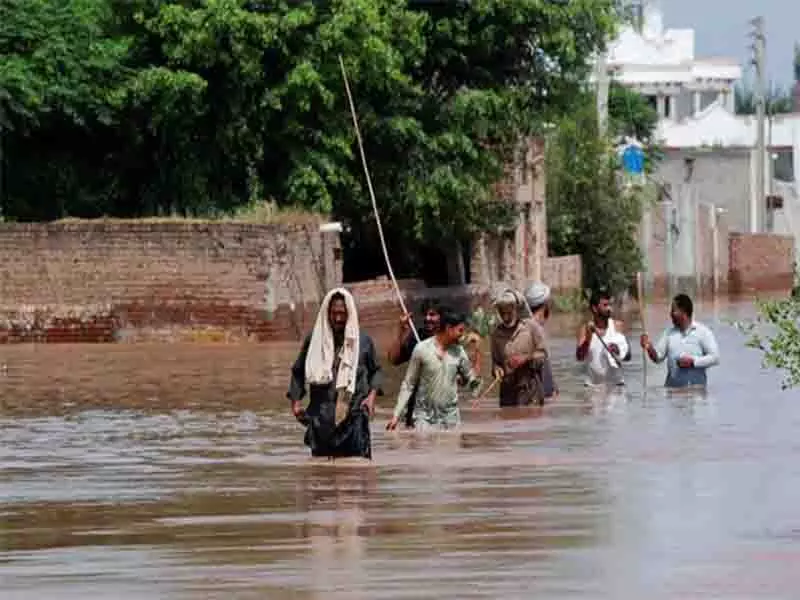 नुकसान की जानकारी के लिए चार सदस्यीय केंद्रीय टीम Kapurthala पहुंची नुकसान की जानकारी के लिए चार सदस्यीय केंद्रीय टीम Kapurthala पहुंची