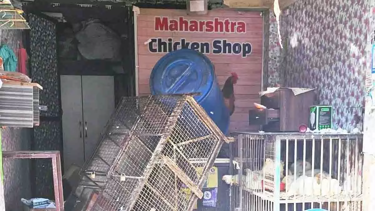Thane में मांसाहारी वस्तुओं की बिक्री में उछाल Thane में मांसाहारी वस्तुओं की बिक्री में उछाल
