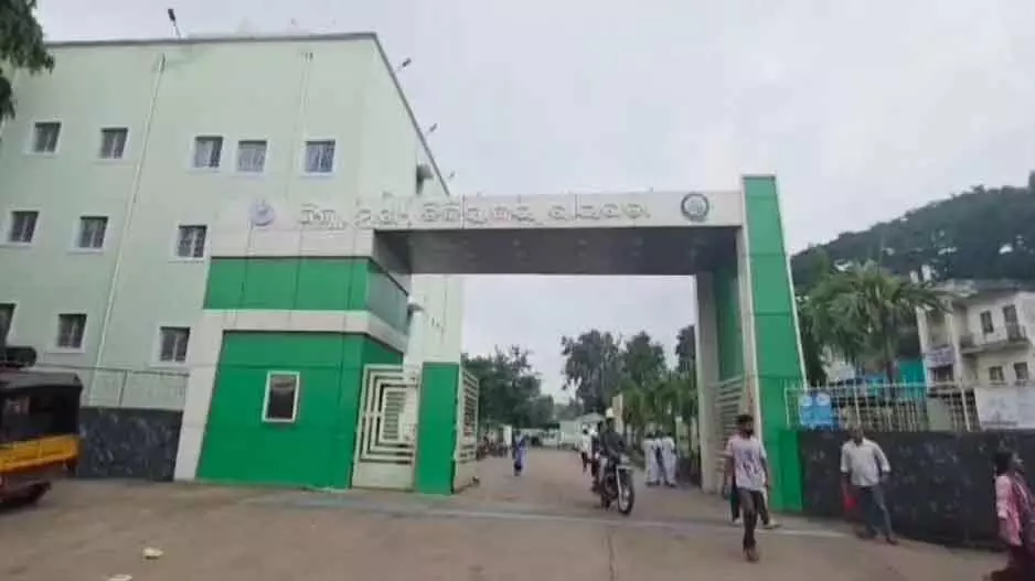 Rayagada: एम्बुलेंस समय पर न पहुंचने पर महिला सरपंच की सर्पदंश से मौत Rayagada: एम्बुलेंस समय पर न पहुंचने पर महिला सरपंच की सर्पदंश से मौत
