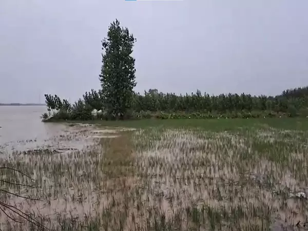 Punjab में भीषण बाढ़ के बीच लुधियाना जिले में स्थिति नियंत्रण में: अधिकारी Punjab में भीषण बाढ़ के बीच लुधियाना जिले में स्थिति नियंत्रण में: अधिकारी