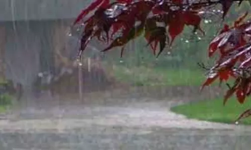 Haryana Weather: कब रुकेगी बारिश, फटाफट जानिए ताजा अपडेट Haryana Weather: कब रुकेगी बारिश, फटाफट जानिए ताजा अपडेट