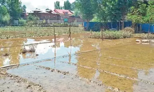 कश्मीर के सब्जी गांव जलमग्न; किसान बर्बादी के कगार पर कश्मीर के सब्जी गांव जलमग्न; किसान बर्बादी के कगार पर