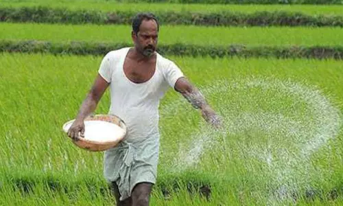 Nalagarh: मानसून की तबाही से खेतों में डूबी मेहनत, किसान परेशान Nalagarh: मानसून की तबाही से खेतों में डूबी मेहनत, किसान परेशान