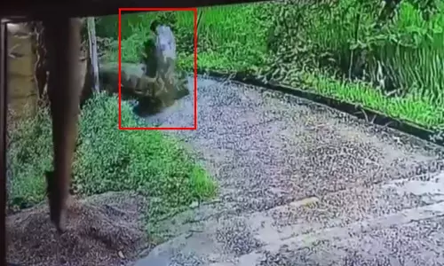 CG BREAKING: दीवार गिरने से युवक की मौत, भयानक वीडियो आया सामने CG BREAKING: दीवार गिरने से युवक की मौत, भयानक वीडियो आया सामने