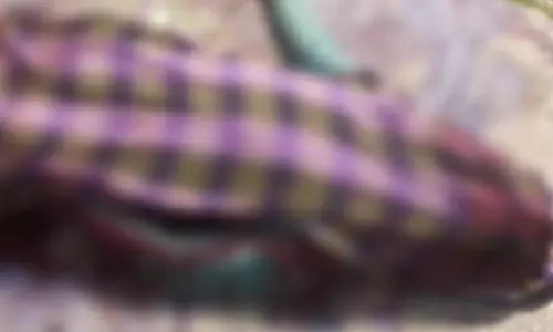 दो बाइकों की टक्कर से युवक की मौत