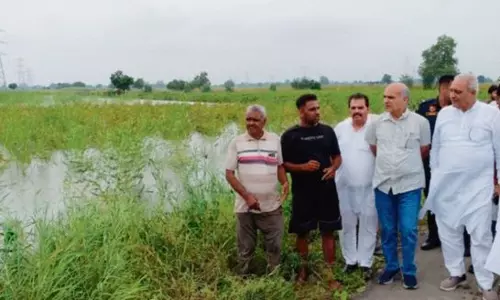 Haryana : मंत्री ने जलभराव से प्रभावित हिसार के गांवों का दौरा किया